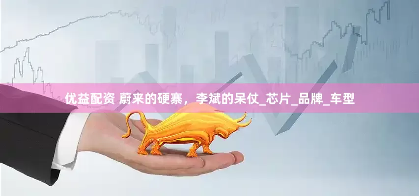 优益配资 蔚来的硬寨，李斌的呆仗_芯片_品牌_车型