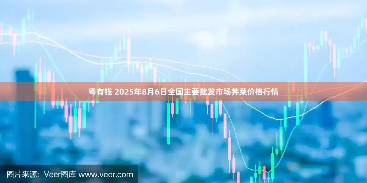 粤有钱 2025年8月6日全国主要批发市场荠菜价格行情