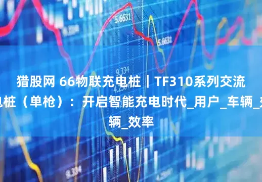 猎股网 66物联充电桩｜TF310系列交流充电桩（单枪）：开启智能充电时代_用户_车辆_效率